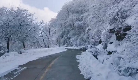 下雪了小学作文