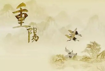 九月九日重阳节作文 九月九日重阳节作文