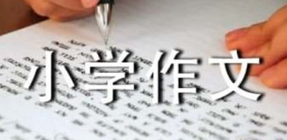 小学生暑期作文 小学生暑期作文