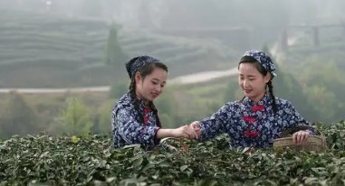 妹妹小学作文 妹妹小学作文