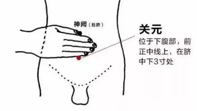 减肚子秘方_减肚子秘方_减肚子秘方