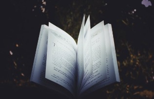 公司员工派遣函 公司员工派遣函