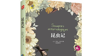 昆虫记读后感小学生作文3篇 昆虫记读后感小学生作文3篇