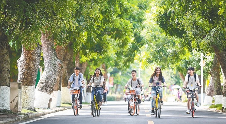 我的大学生活我的青春的作文