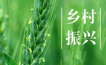 形势政策乡村振兴论文 形势政策乡村振兴论文