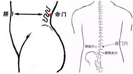 中医脾胃养生保健_中医四季养生 春夏秋天养生知识_中医体质养生九种体质养生