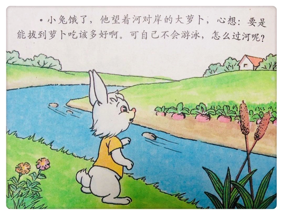 年级动物作文小猫怎么写_年级写小动物的作文_小动物作文四年级