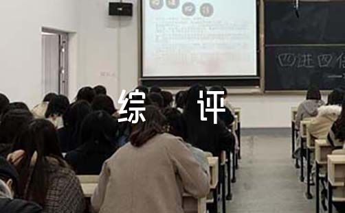 综评典型事例300字初二范文(通用17篇)