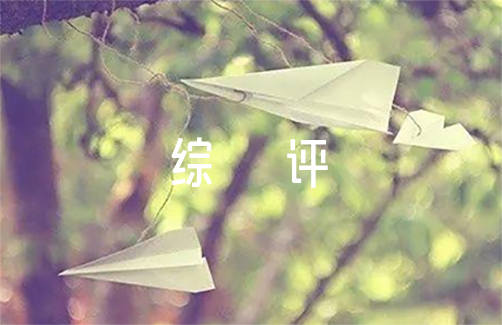 中学生综评网典型事例【五篇】