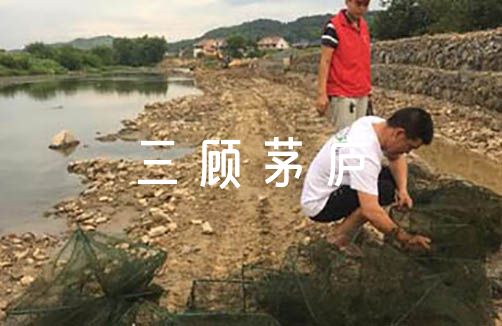 三顾茅庐课本剧剧本(通用3篇)