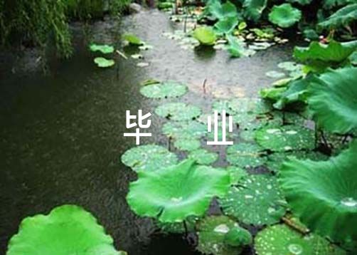 高三毕业自我陈述600字范文五篇