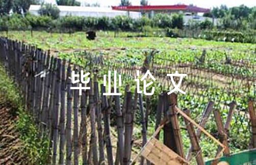 大专毕业论文3000字