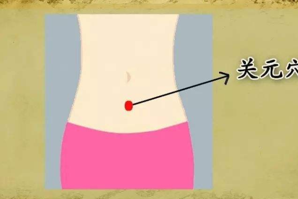 有没有人知道关元穴在哪。。。