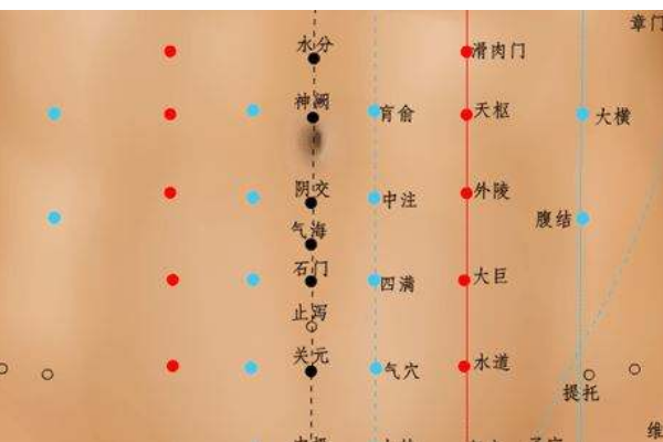 人的关元穴在哪个部位?
