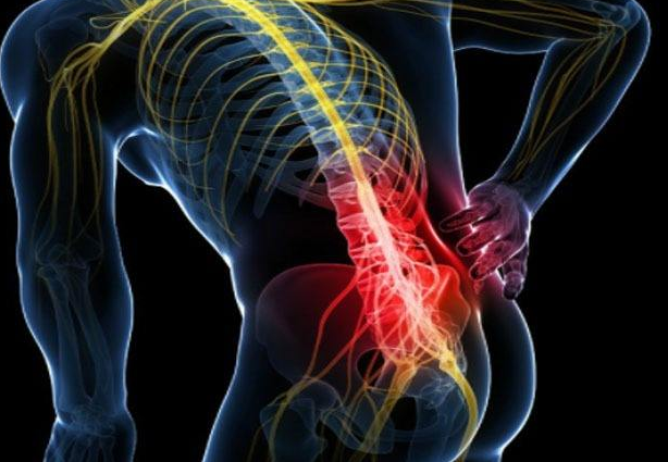 名词解释椎间盘