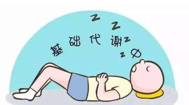 正常人的基础代谢率是多少 正常人的基础代谢率是多少