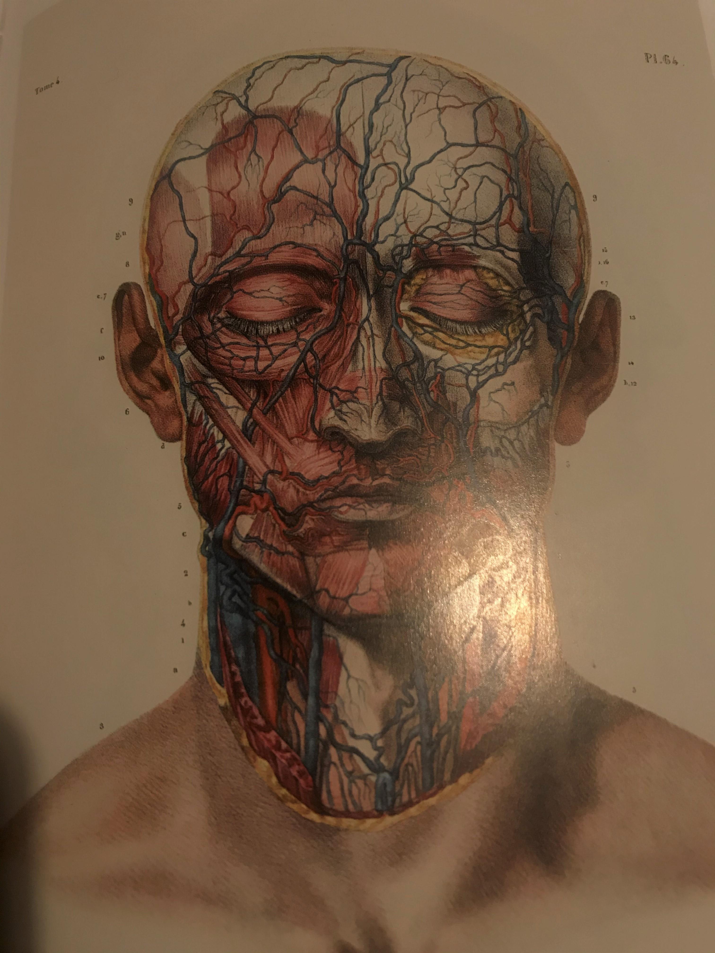 苹果肌_苹果肌_自体脂肪填充苹果肌