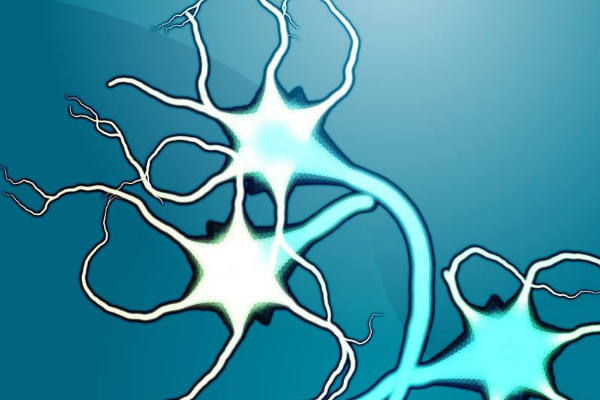 什么是交感神经