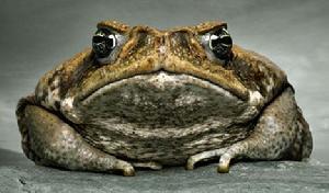 亲身经历治疗痤疮偏方_痤疮民间偏方_痤疮小偏方