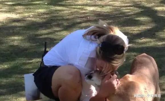 1998年美国女人深夜被杂交犬折磨死后男友报警,兽医:狗不是凶手 杂交狗是不是土狗_杂交狗聪明还是纯种狗聪明_杂交狗