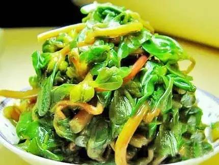 土方法治真菌_土法治真菌_民间土方治真菌