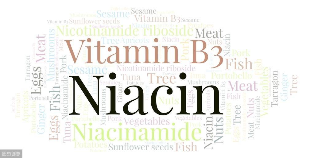 酸杏仁的功效与作用禁忌_杏仁酸_酸杏仁能治失眠吗