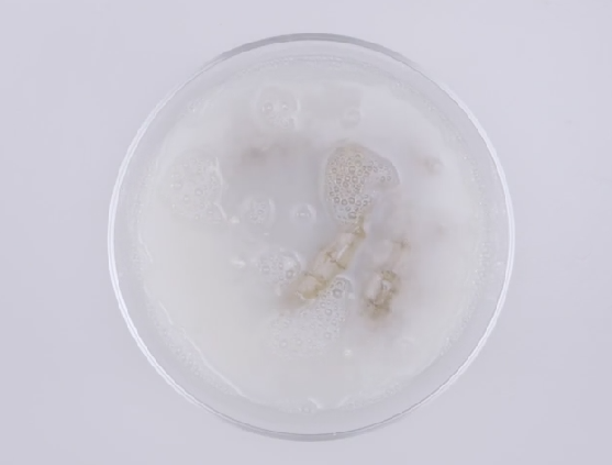 白醋能泡生姜能祛斑吗_用生姜去雀斑怎样去_生姜能去老年斑吗