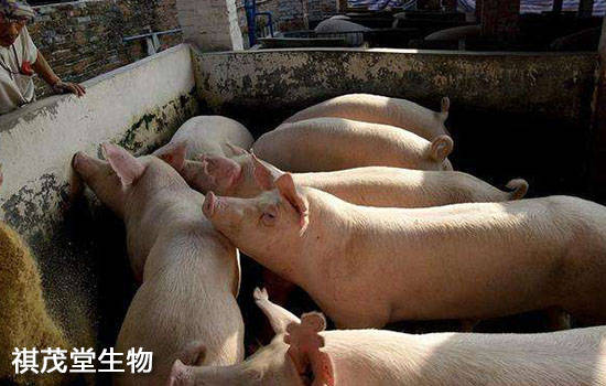 治疗抽動症有偏方吗_膝关节滑膜炎有积液治疗偏方_经常头痛有什么偏方治疗