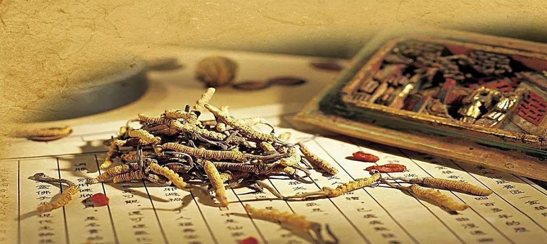 癌症民间偏方有哪些_癌症的民间偏方_癌症民间偏方大全