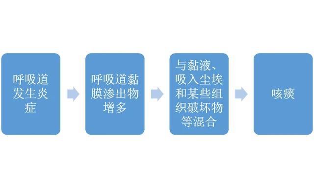 晚上咳嗽原因_咳嗽是什么原因_不明原因咳嗽