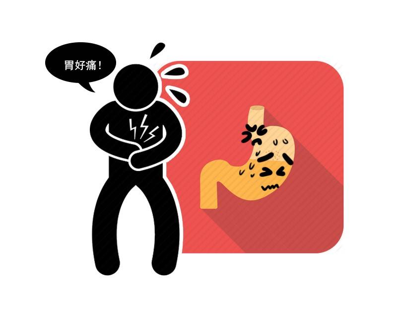 食量_食量突然变小吃一点就撑_食量最大的动物