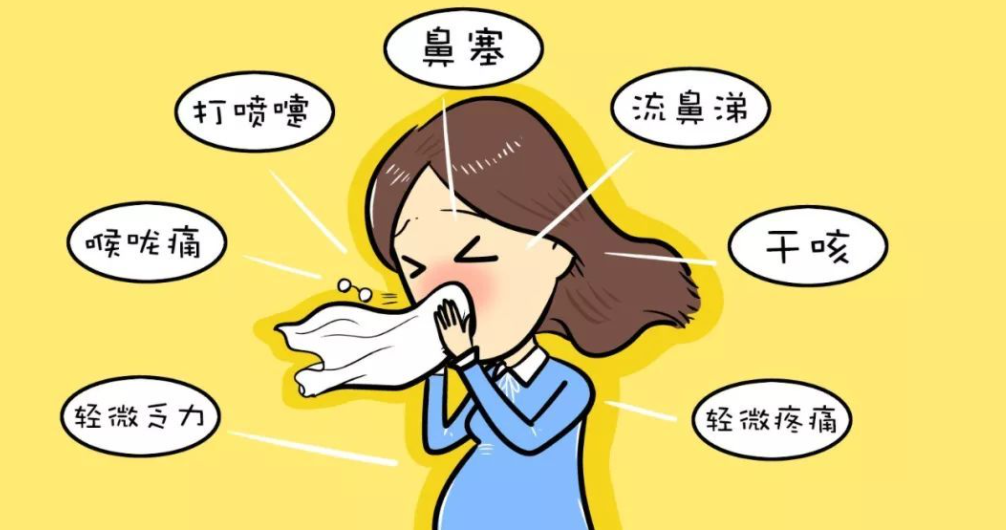 感冒流鼻涕有什么偏方_感冒流鼻涕 偏方_感冒的偏方