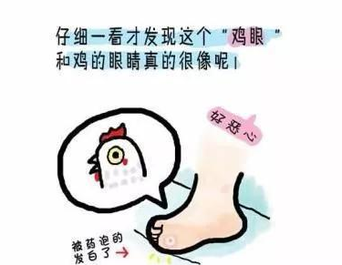 805BAECF-5365-483f-B3<a href=