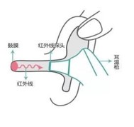 红外线体温计_红外线体温温度计_红外线体温计测什么位置