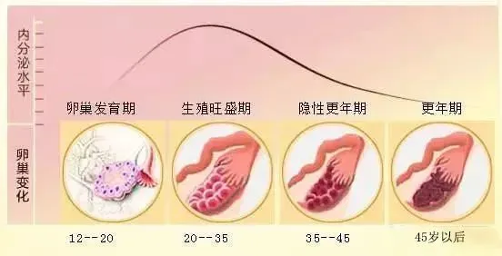 萎缩睾丸放回去危险吗_睾丸萎缩_萎缩睾丸还有生精功能吗