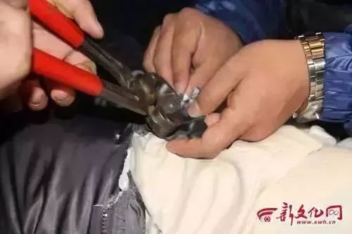 小鸡男孩英文_男孩的小鸡_小鸡男孩韩国绘本