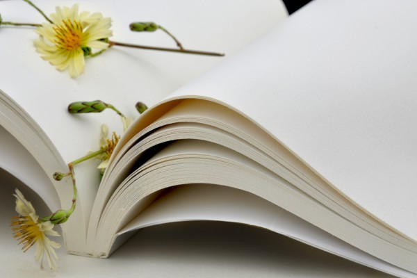 求职信英语作文150_求职信英文作文120字_英语作文求职信