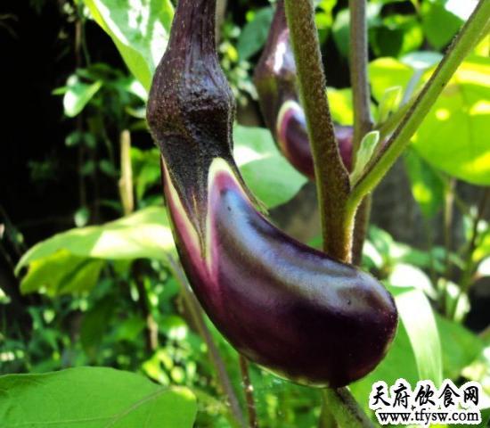 湿疹民间偏方大全_湿疹民间治疗偏方秘方_民间治疗湿疹偏方